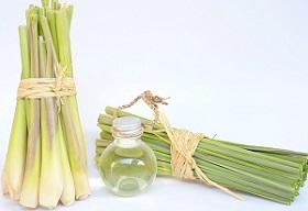 photo-of-lemongrass-and-oil.jpg