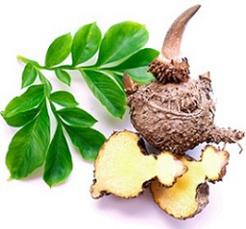 photo-of-glucomannan.jpg