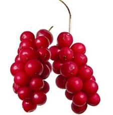 photo-of-schisandra-berries.jpg