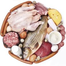 photo-of-protein-foods.jpg