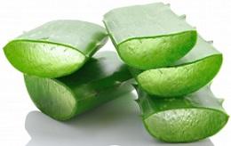 photo-of-fresh-aloe-vera-leaf.jpg