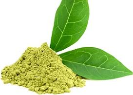 photo-of-green-tea-extract.jpg