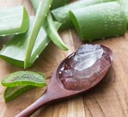 photo-of-aloe-vera.jpg