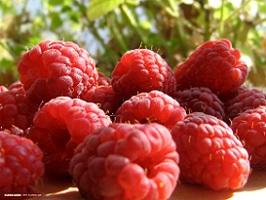 photo-of-fresh-raspberries.jpg