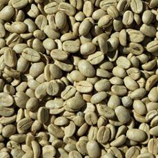 portrait-of-fresh-green-coffee-beans.jpg