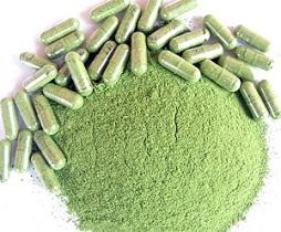 moringa-extract-and-capsules.jpg