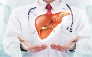 photo-of-doctor-with-liver.jpg