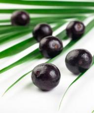 photo-of-acai-berries.jpg