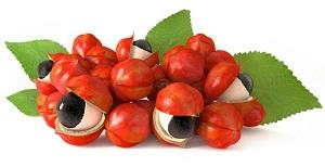 photo-of-guarana.jpg