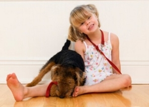 Little girl sitting on a hardwood floor playing with a dog