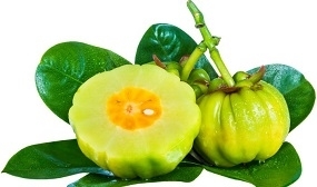 Photo of Fresh Garcinia Fruit