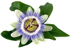 Passionflower for Anxiety